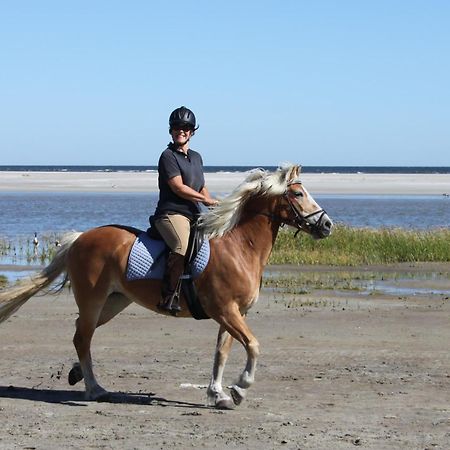 Naar Zee Op Ameland Бюрен Экстерьер фото